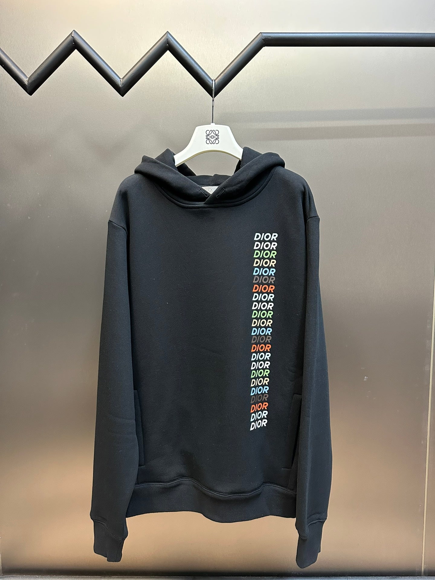 HOODIE DIOR